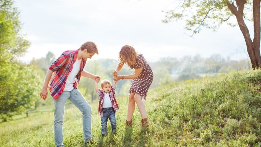 Life Insurance Test Page